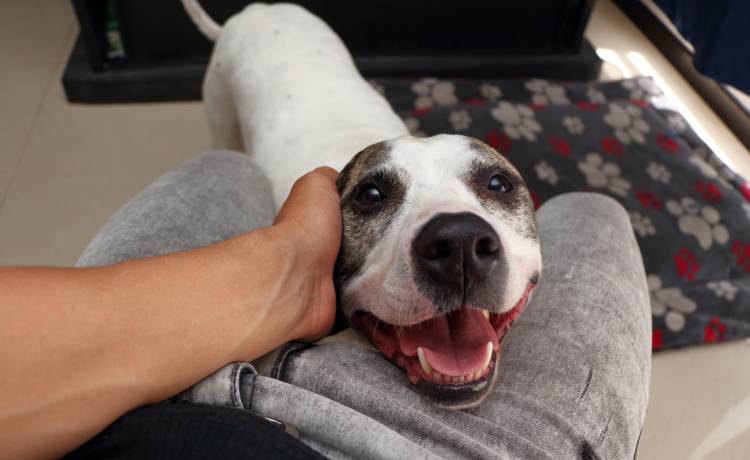 fot. shutterstock.com 