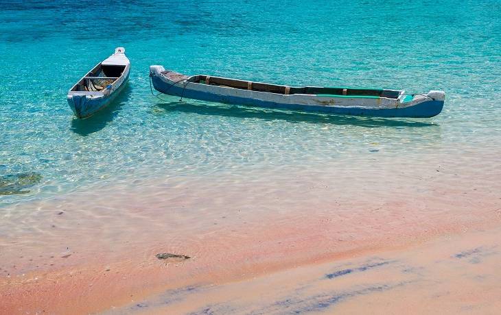 Para infuencerów po roku wróciła na swoją ulubioną plażę. Nie mogli uwierzyć w to co zobaczyli 