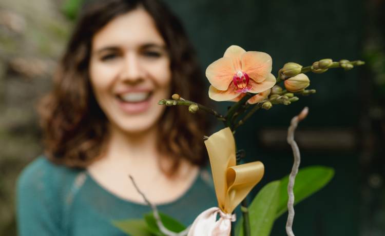 fot. shutterstock.com