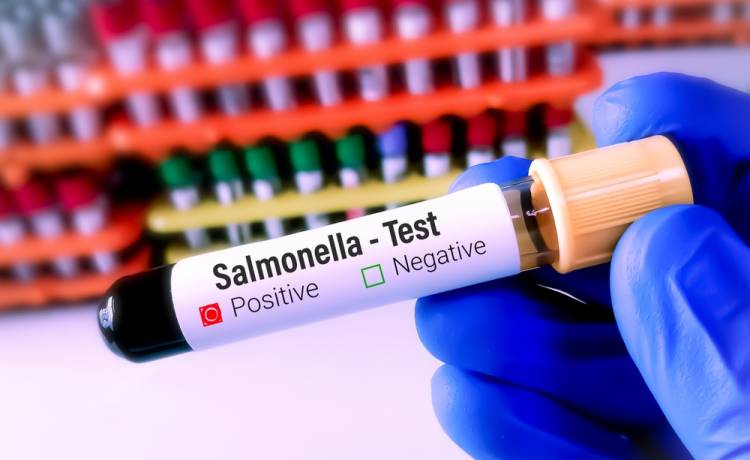 Salmonella -  w jaki sposób dochodzi do zakażenia i jakie daje objawy?