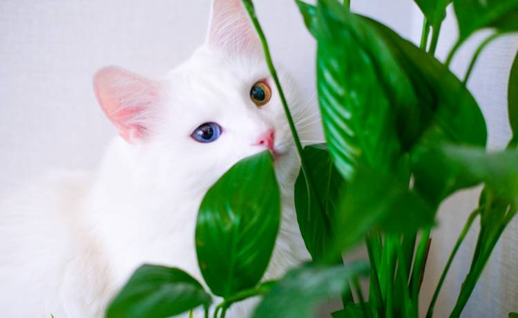 fot. shutterstock.com 