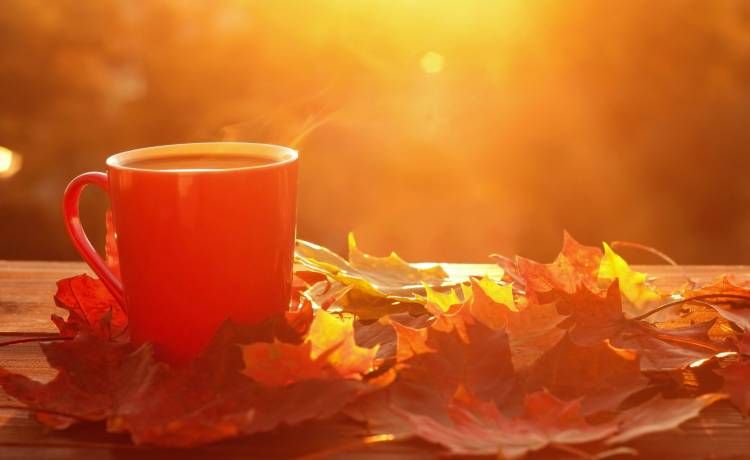 Google Doodles. Wyszukiwarka przypomina o równonocy jesiennej!