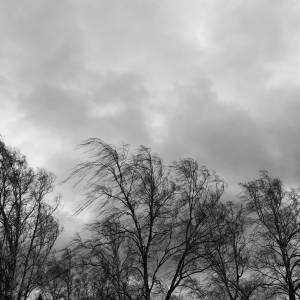 W warszawskim parku odnaleziono ciało zamordowanej kobiety 