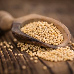 W gorczycy białej wykryto Salmonellę! Jest ostrzeżenie GIS