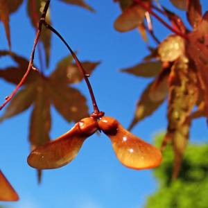 Ogrzewacze ogrodowe – jak wybrać idealne rozwiązanie na chłodniejsze wieczory?