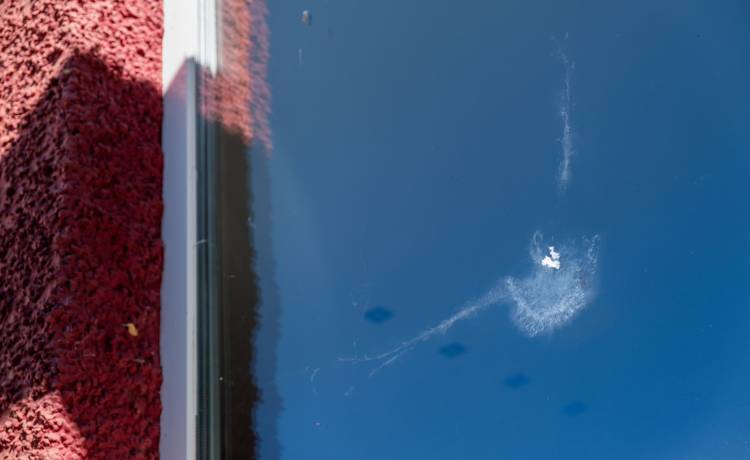 fot. shutterstock.com