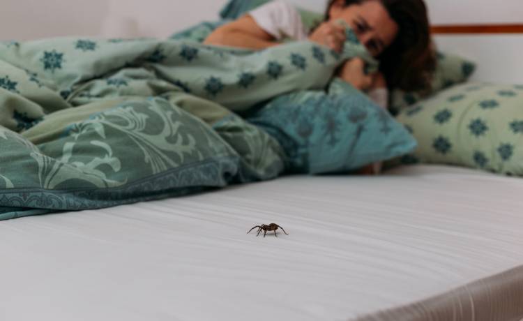 fot. shutterstock.com