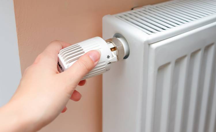 fot. shutterstock.com 