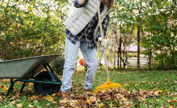 Prace ogrodowe, fot. Shutterstock