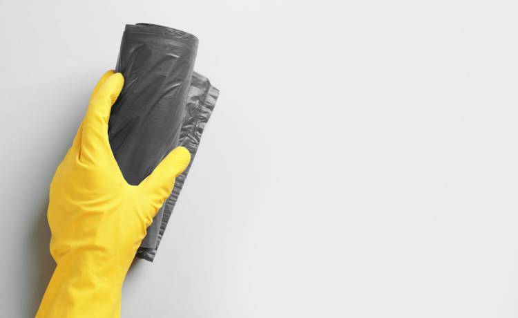 fot. shutterstock.com