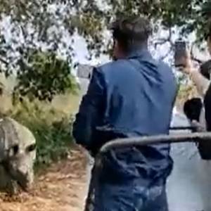 Robili zdjęcia na safari. Zaatakowały ich nosorożce [WIDEO]