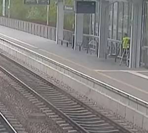 Pies spacerował po torowisku. Zatrzymał się na widok człowieka. "Poprosił o pomoc" [FILM]