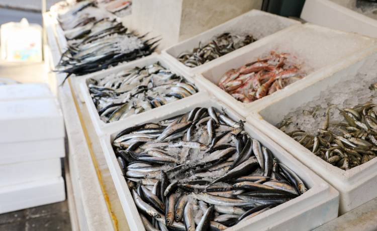 Victoria Kurylo/Shutterstock