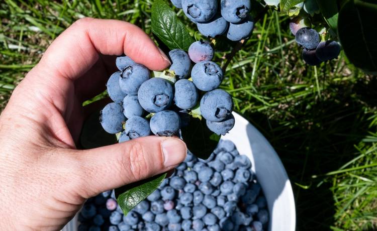 fot. shutterstock.com