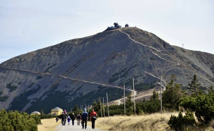 Zaufał nawigacji, a teraz zapłaci mandat. Turysta wjechał autem na szlak górski