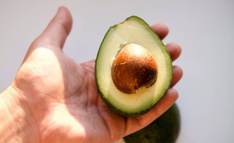 Yuliia28/Shutterstock