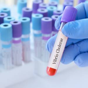 Cholera w Polsce. GIS potwierdza 