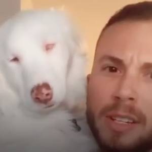 Plum nie widzi i nie słyszy. Mimo wszystko jest szczęśliwym psiakiem, który uwielbia zabawę! [WIDEO]