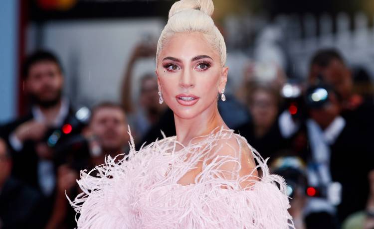 Psy Lady Gagi zostały porwane, napastnicy postrzelili ich opiekuna. Do sieci trafiło nagranie z tego zdarzenia