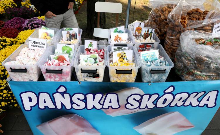 Pańska skórka, fot. Piotr Molecki/East News