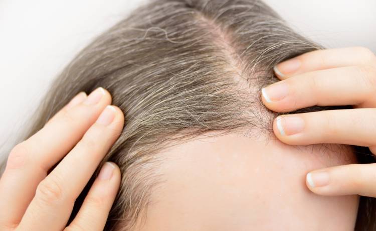 fot. shutterstock.com