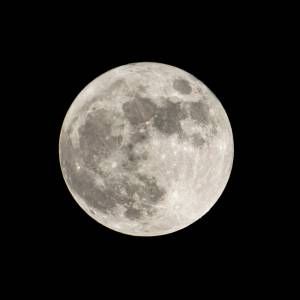 Wilczy Księżyc już wkrótce. To zmieni myślenie wszystkich znaków zodiaku 