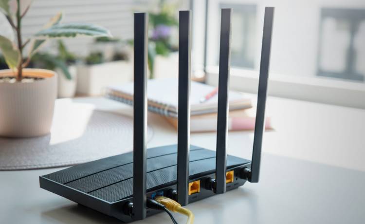 zdjęcie ilustracyjne, fot. Shutterstock/Proxima Studio